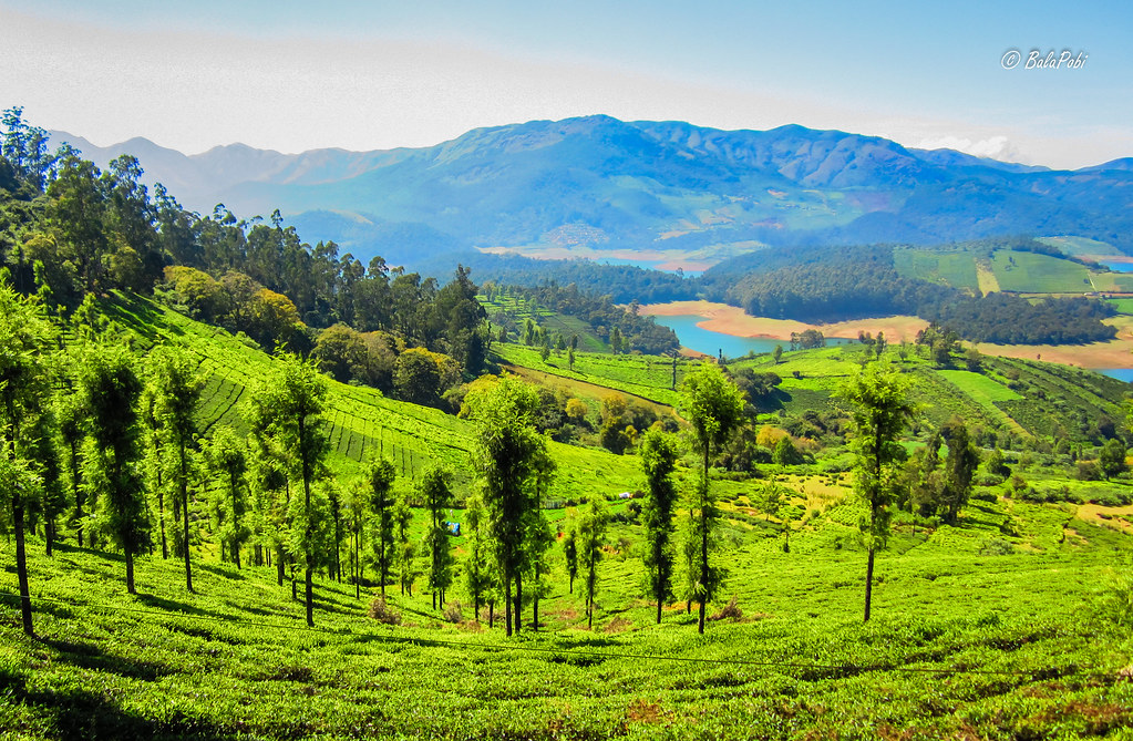 12965353173 04e65e52af b