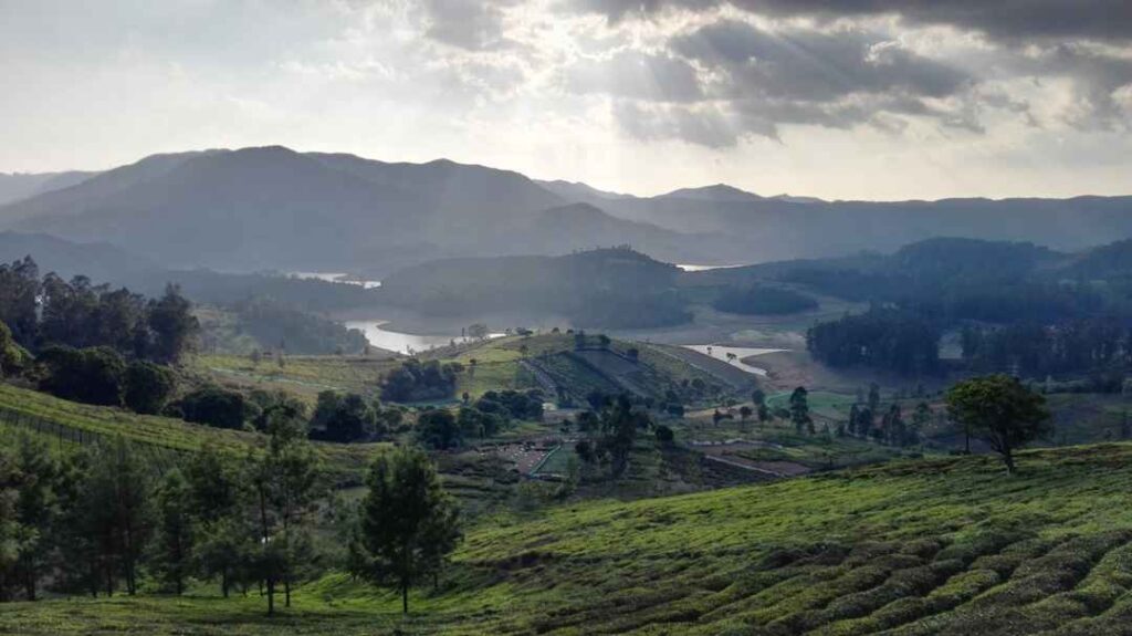 1495959805 img 20160501 171842