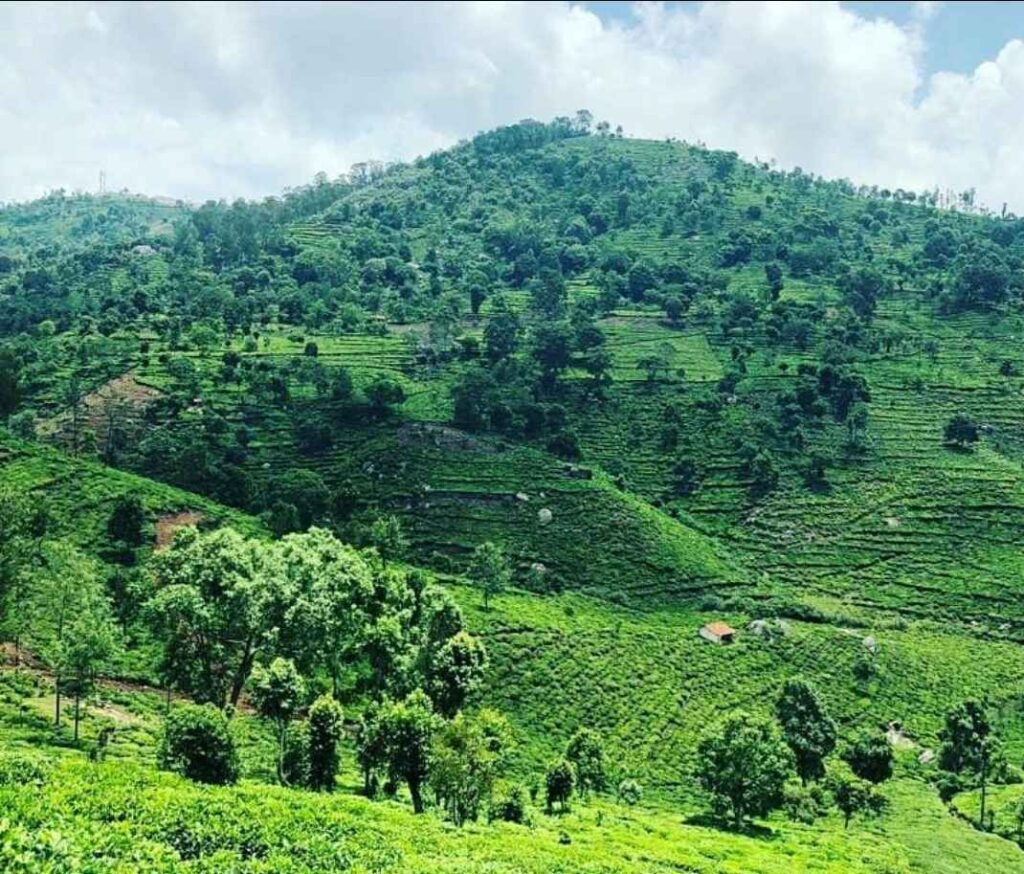 Ooty queen hills stations places in tamil nadu