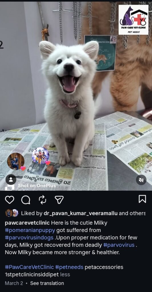 whatsapp image 2026 06 19 at 12.42.52 pm(1)